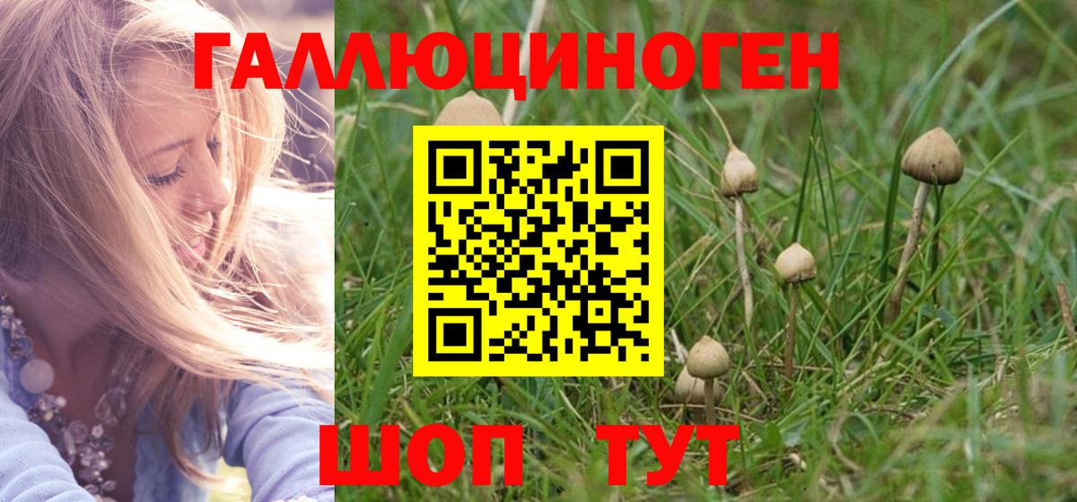 Псилоцибиновые грибы ЛСД  Вход с VPN  Абакан 
